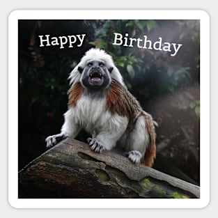 Birthday Monkey Sticker